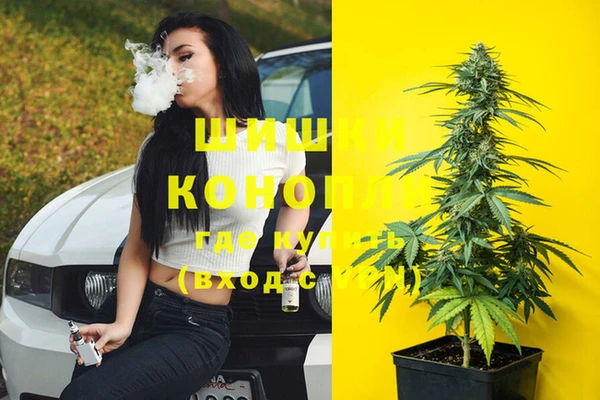 прущие крисы Абаза