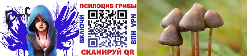 хочу   Соликамск  Псилоцибиновые грибы Magic Shrooms 